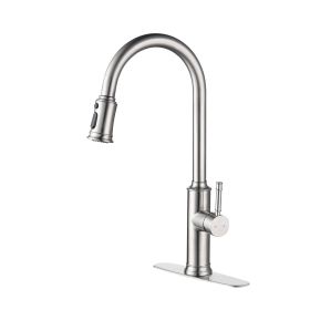 Kitchen Faucet with Pull Down Sprayer